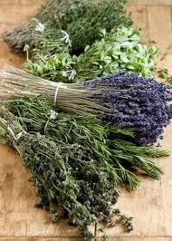 Herbes de Provence Infused Olive Oil