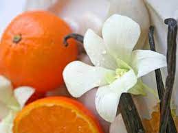 Cara Cara Orange Vanilla White Balsamic