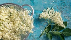 Elderflower White Balsamic