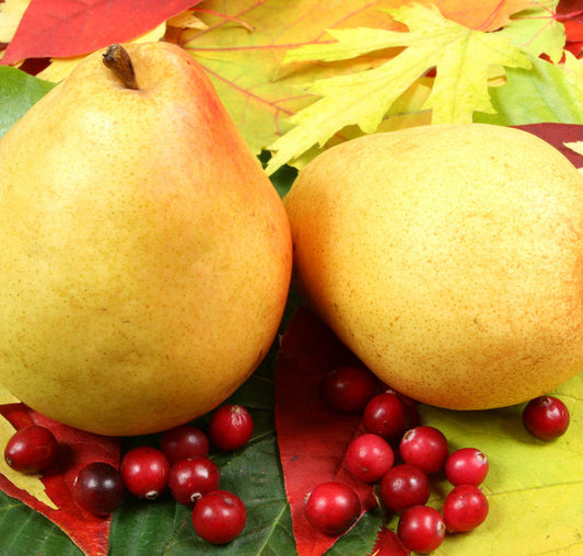 Cranberry Pear White Balsamic